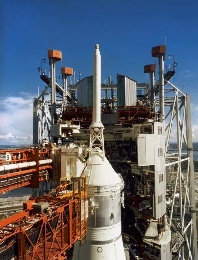 Arabidopsis creció en regolito de Apolo, pero las plantas mostraron señales de estrés